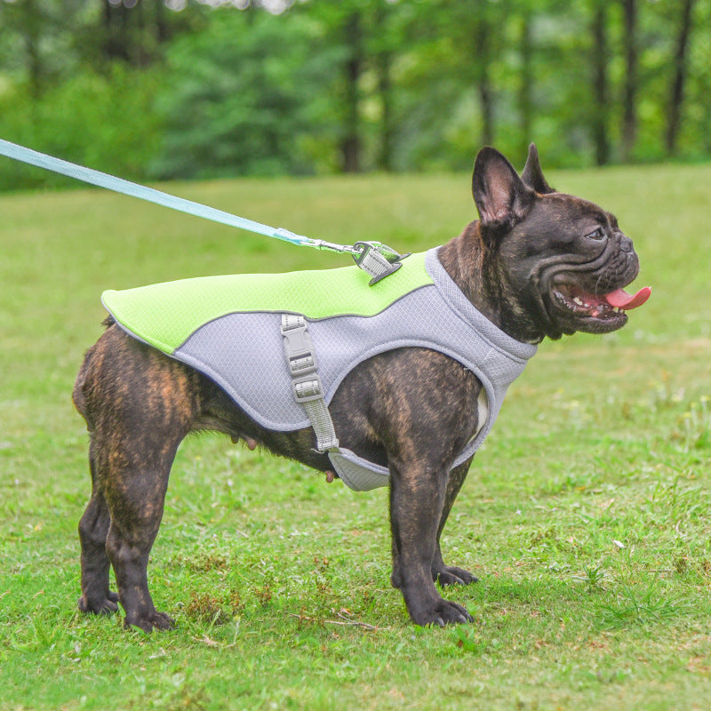 Dog Cooling Vest - Breathable Wear